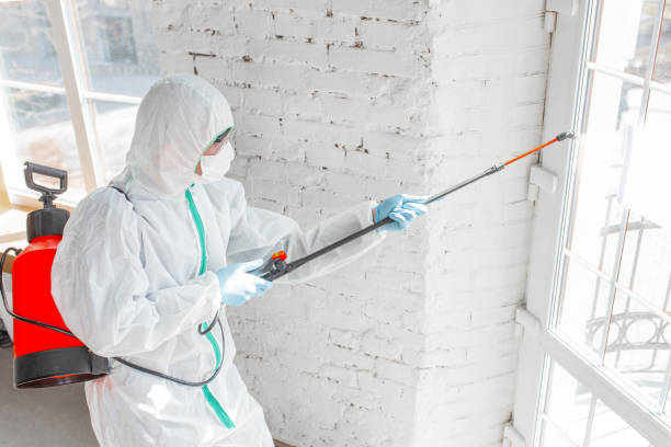 Asbestos and Lead Testing During Mold Inspection in Delmar, DE